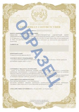 Образец Сертификат СТО 01.064.00220722.2-2020 Семенов Сертификат СТО 01.064.00220722.2-2020 